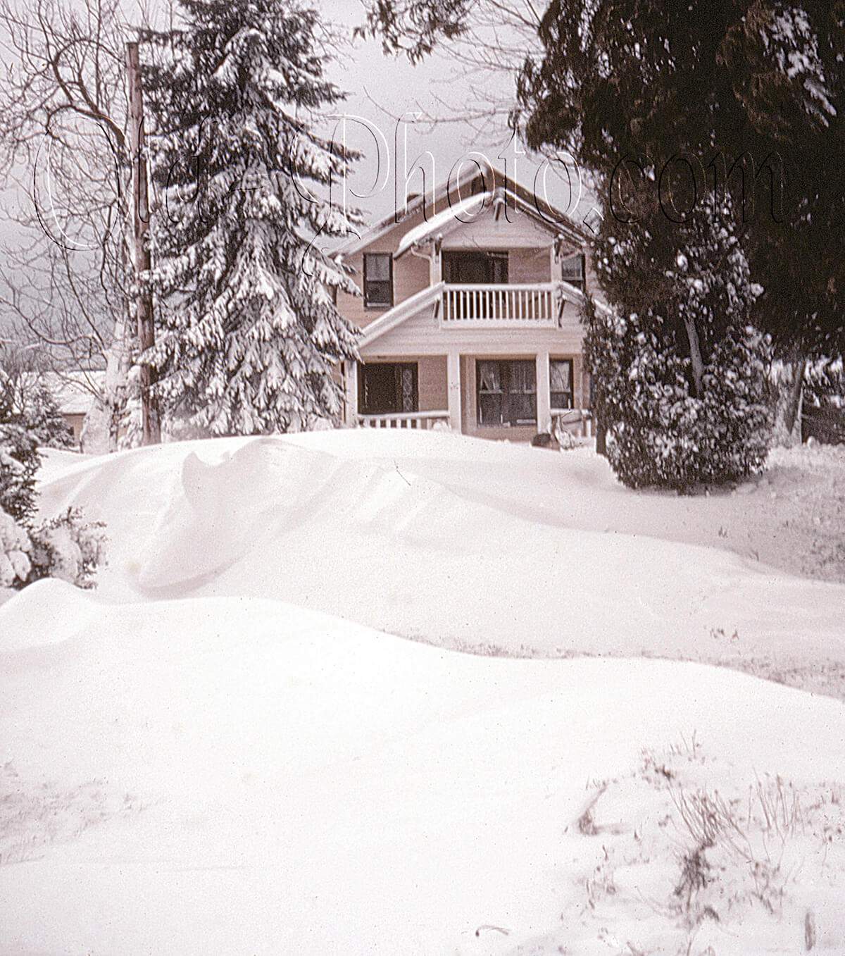 Thumbnail: 3D sample #3